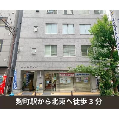 千代田区麹町の屋内型トランクルーム