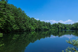 福島県のトランクルーム