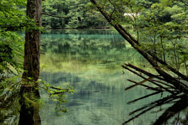 長野県のトランクルーム